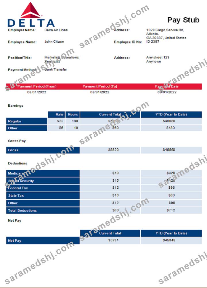 USA Delta Air Lines airlines company pay stub